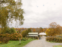 Fall wedding
