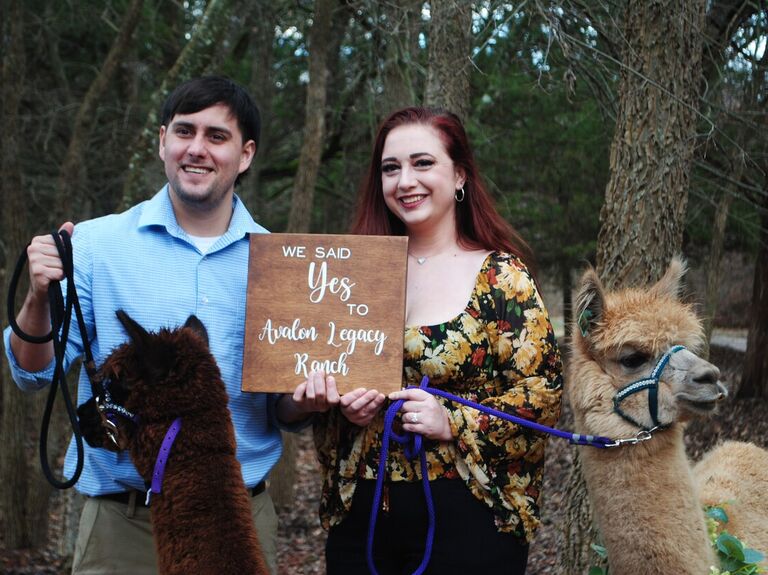Couple says yes to llama ranch