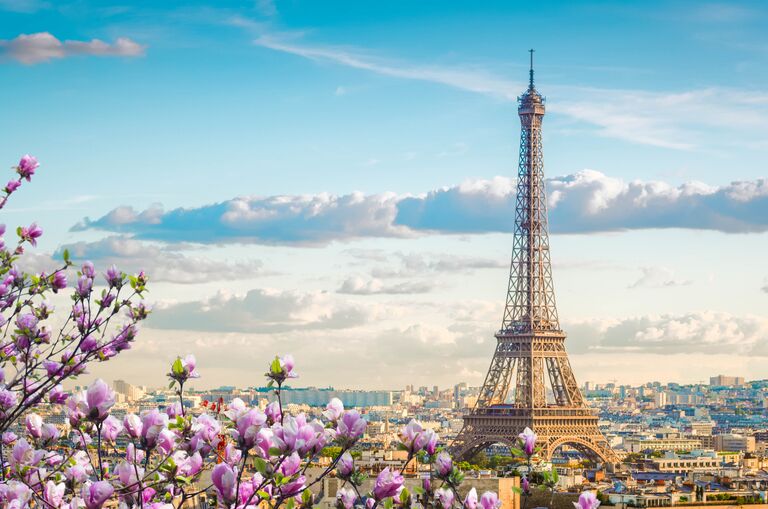 paris france eiffel tower flowers photo