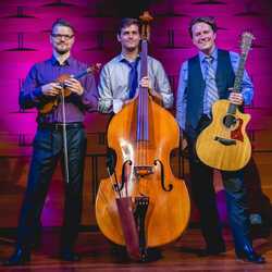 International Strings, profile image
