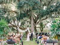 Couple exchanging vows at a backyard wedding