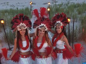Hula dancers  and Tahitian fire dancers N.Y, N.J - Hawaiian Dancer - New York City, NY - Hero Gallery 3