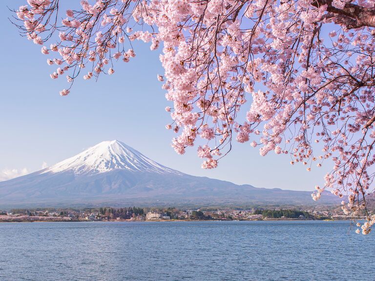 japan as one of the best wedding destination locations - mount fuji and cherry blossoms