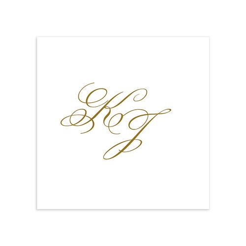 Romantic Rococo Cocktail Napkins White Dusty Blue Napkin Uncoined