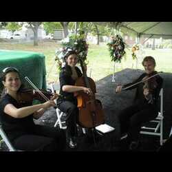 New Orleans Classical & Jazz, profile image